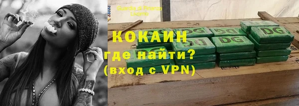 стаф Арсеньев