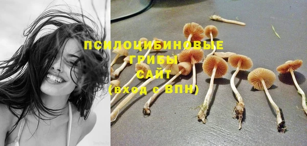 стаф Арсеньев