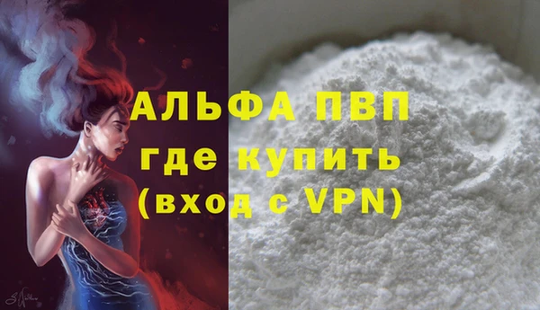 стаф Арсеньев