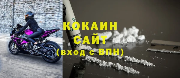стаф Арсеньев