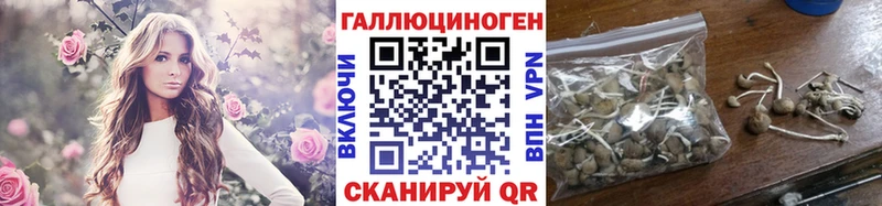 Псилоцибиновые грибы прущие грибы Дорогобуж